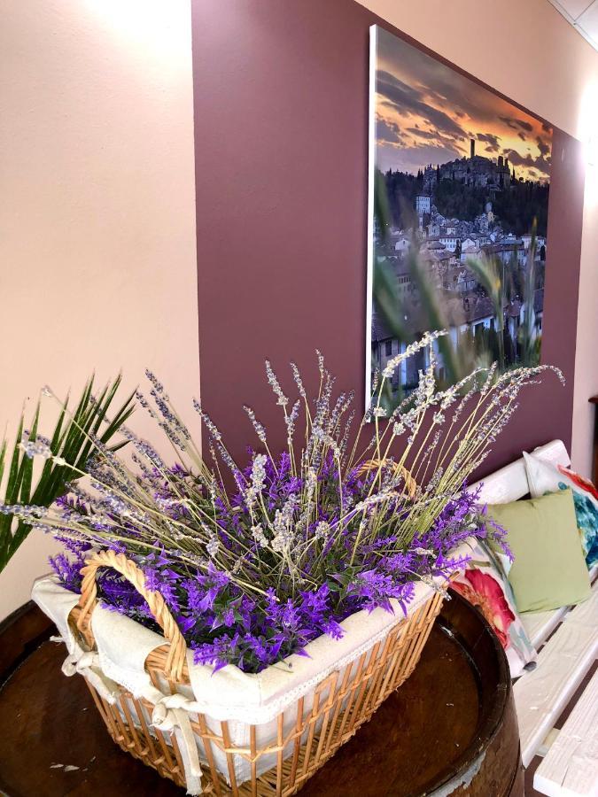 Hotel Sportland Colle Val D'Elsa Zewnętrze zdjęcie